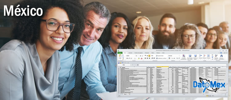 Mexico Professional Services business database in excel